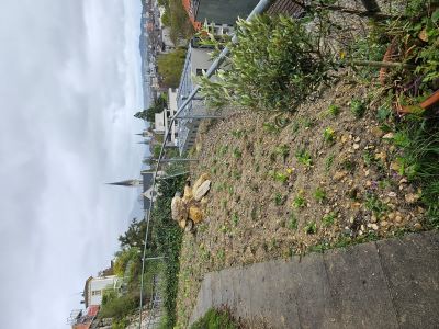Alpenstrasse 9
