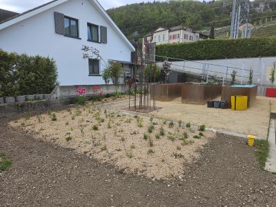 Photo 4