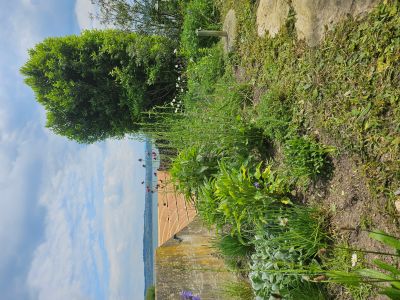 Photo 6 2